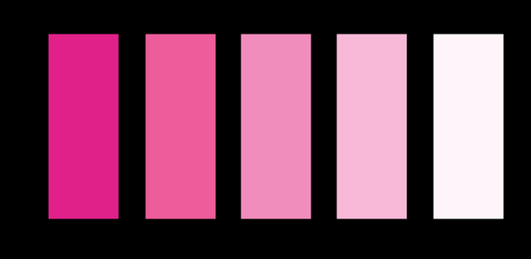 The Pink Palette 